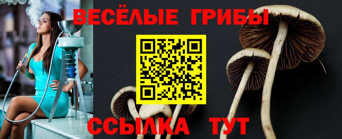 Псилоцибиновые грибы GOLDEN TEACHER Гай